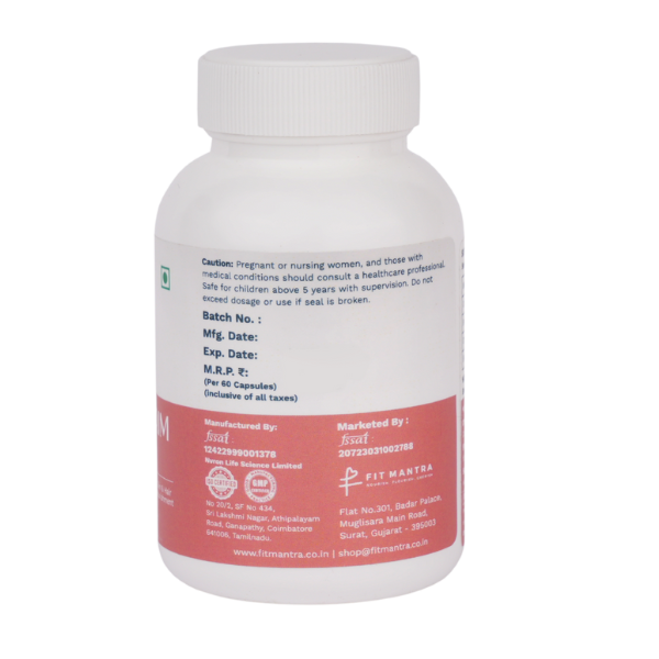 Gut Health Bundle
