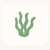 Algae-Derived DHA