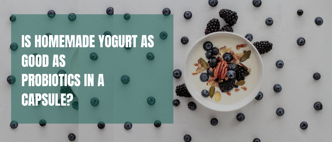 Is Homemade Yogurt as Good as Probiotics in a Capsule?