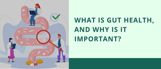 What Is Gut Health, and Why Is It Important?