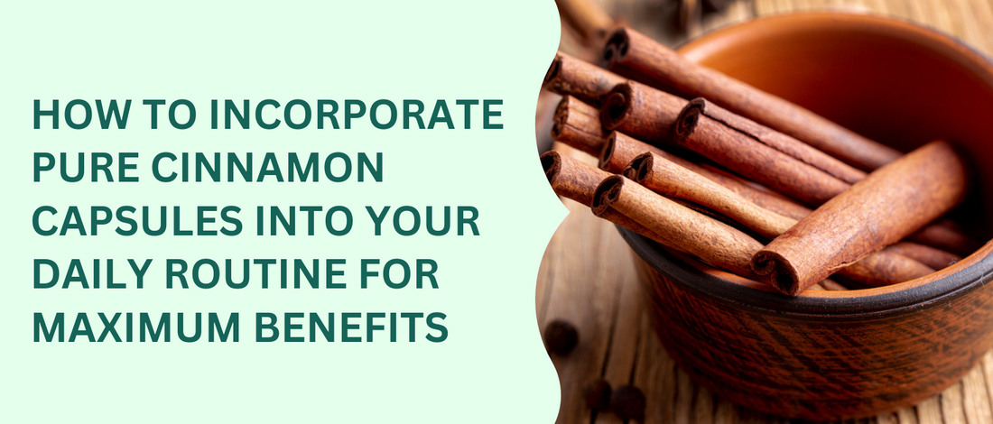 How to Incorporate Pure Cinnamon Capsules Into Your Daily Routine for Maximum Benefits