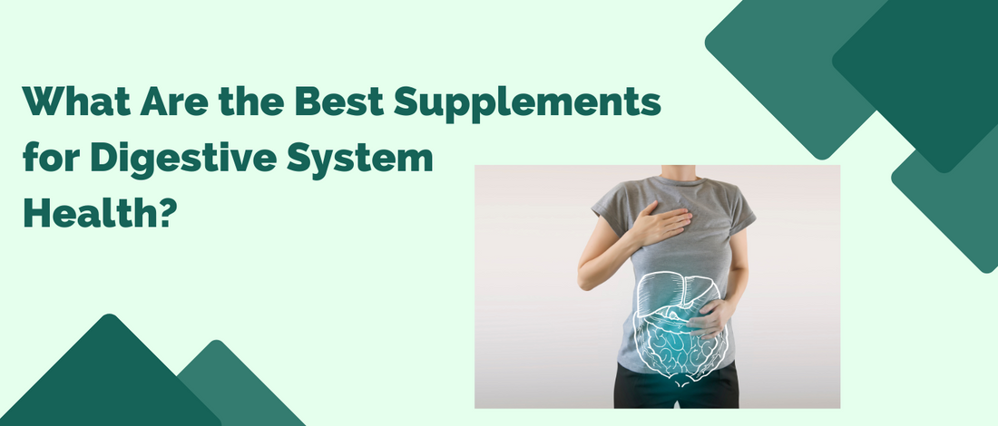 What Are the Best Supplements for Digestive System Health?