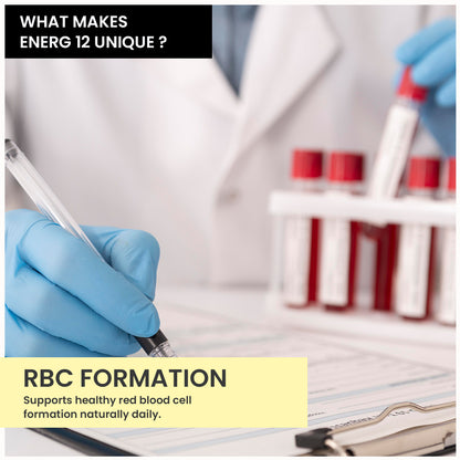 Energ 12